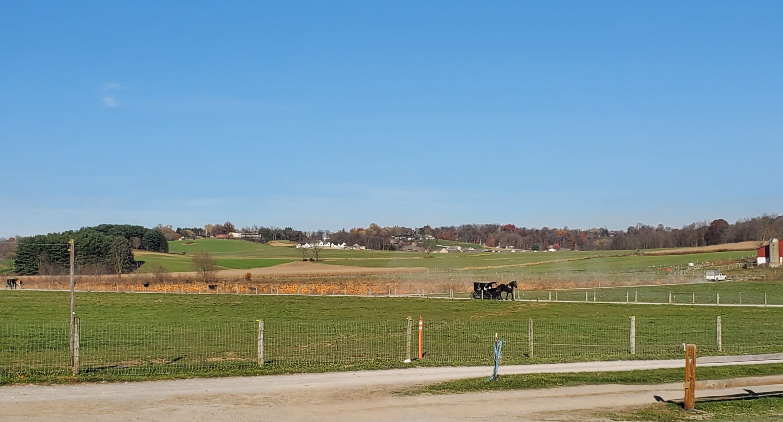 hershberger's farm scenic view