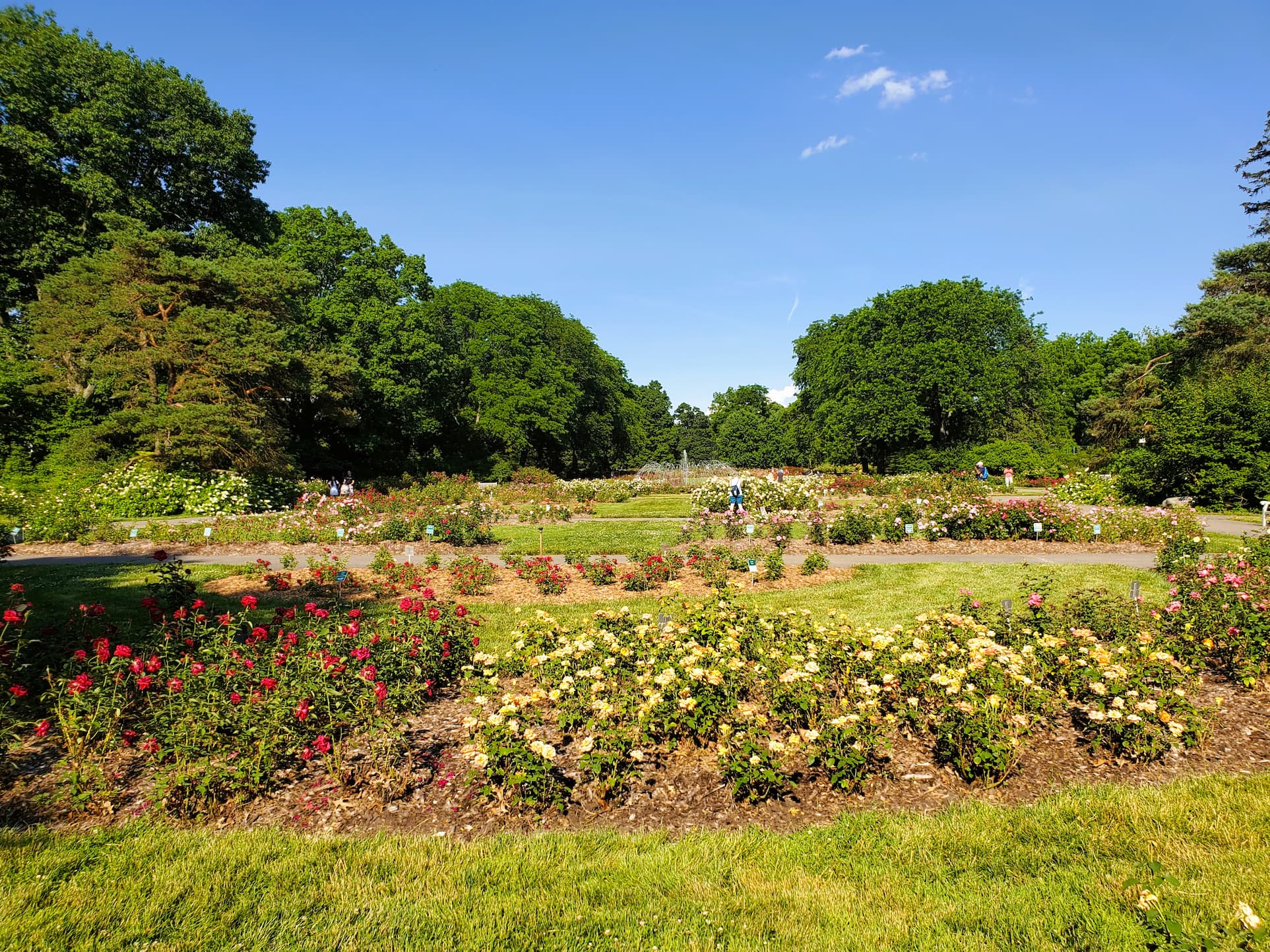 general view of park of roses inside the whetstone park, columbus, ohio