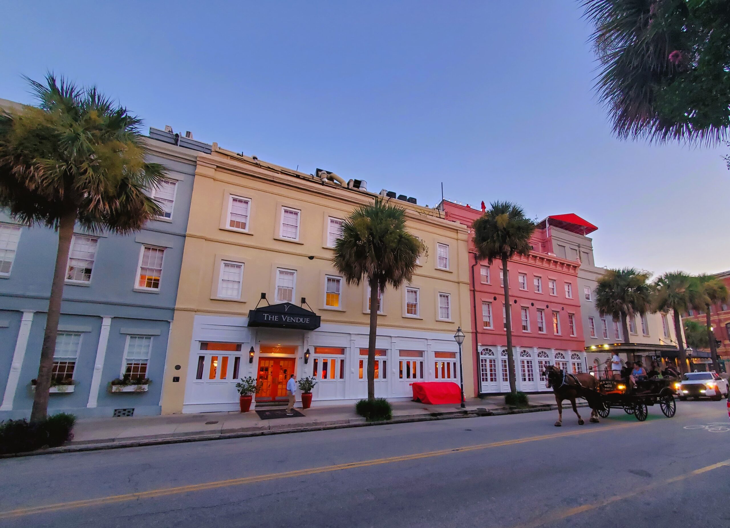 horse carriage is riding front of colorful horses in charleston, sc