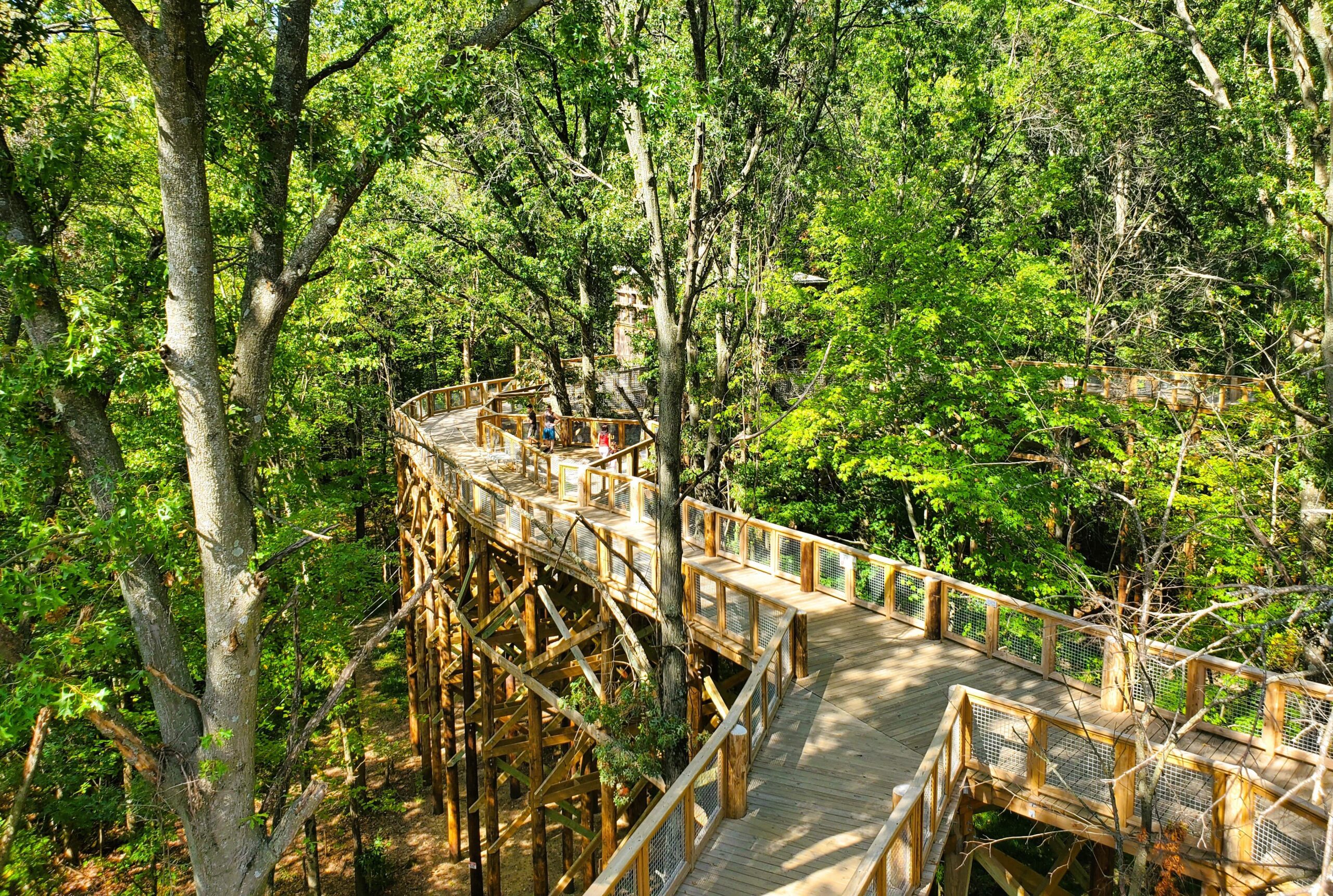 Top view of canopy walk, Blacklick Woods Metro Park, Columbus